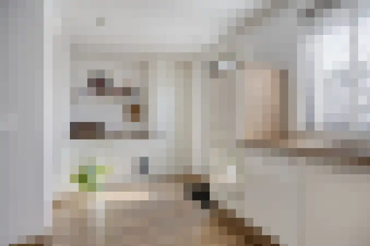 Nonnenkamp 44 Millingen aan de Rijn foto 3
