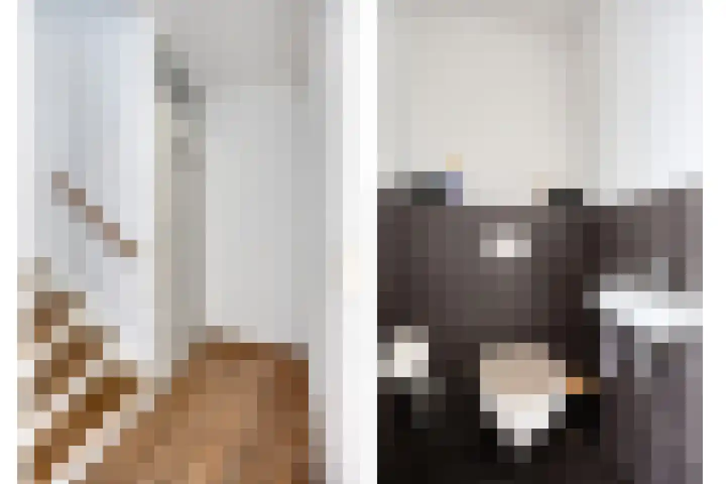 Nonnenkamp 44 Millingen aan de Rijn thumbnail 5