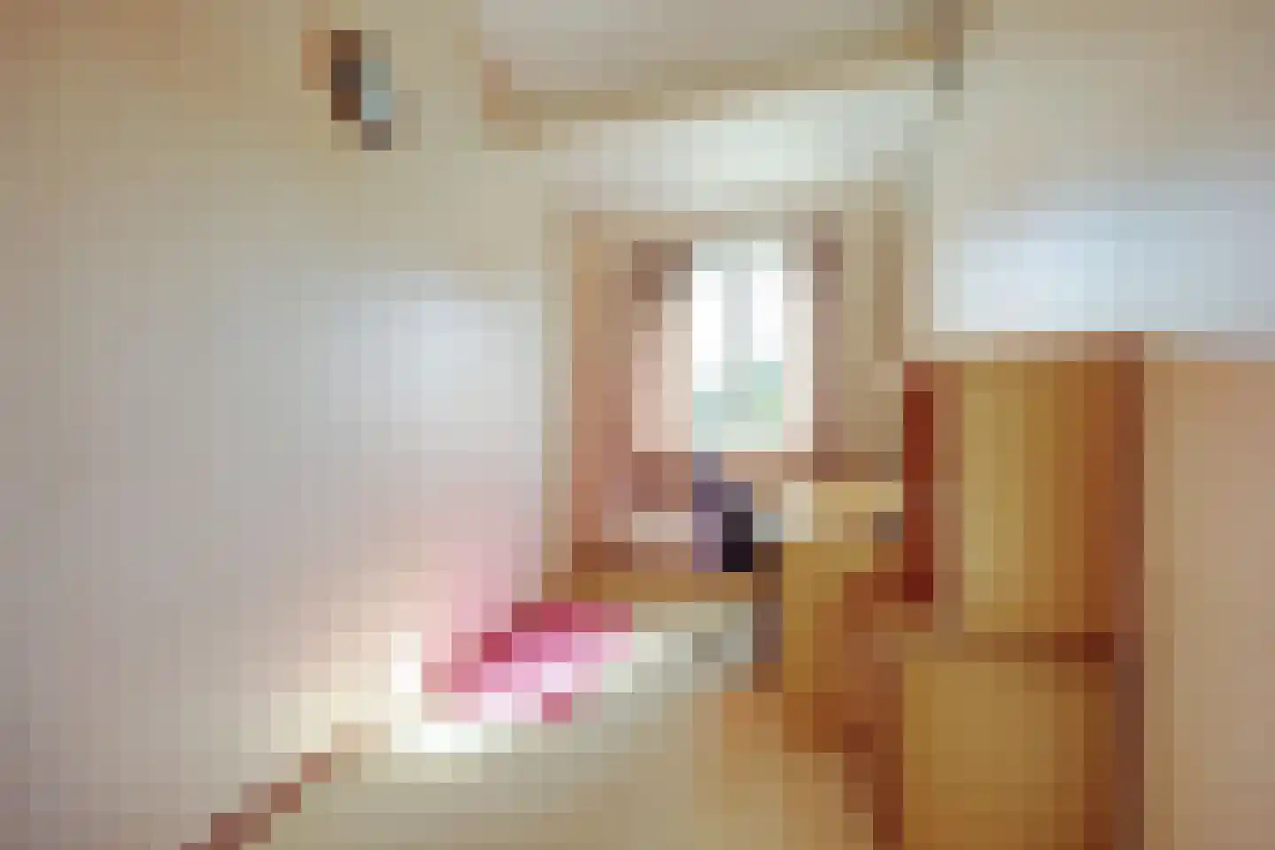 Nonnenkamp 86 Millingen aan de Rijn thumbnail 20