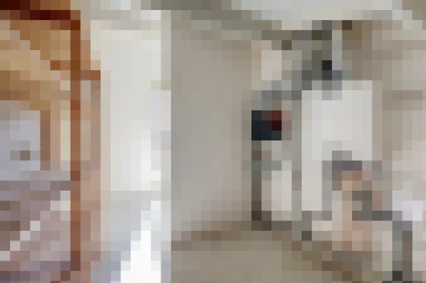 Nonnenkamp 86 Millingen aan de Rijn thumbnail 27