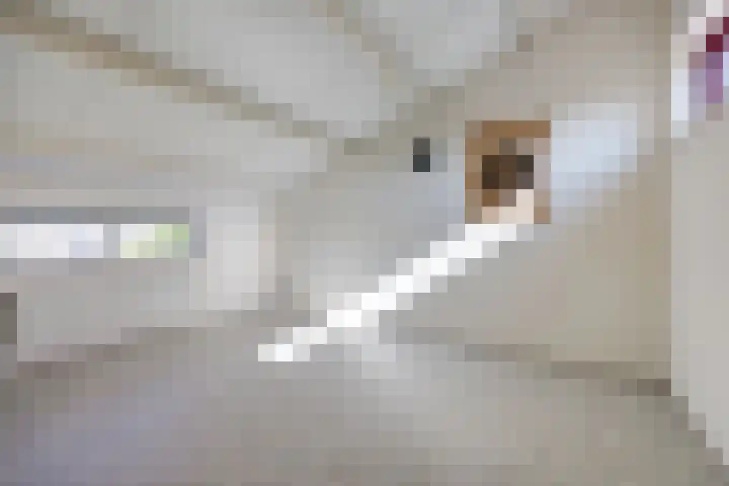 Nonnenkamp 86 Millingen aan de Rijn thumbnail 28
