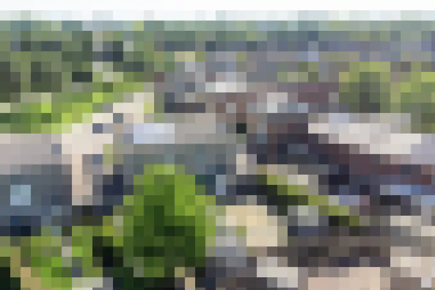 Nonnenkamp 86 Millingen aan de Rijn thumbnail 39