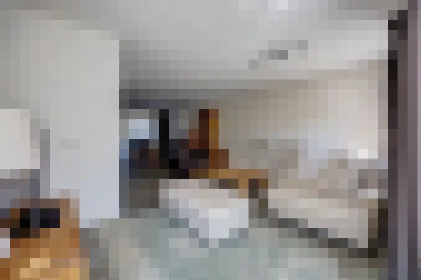 Nonnenkamp 86 Millingen aan de Rijn thumbnail 9