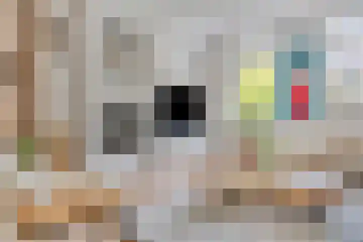 Nonnenmate 13 Doetinchem thumbnail 11