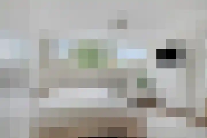 Nonnenmate 13 Doetinchem thumbnail 22