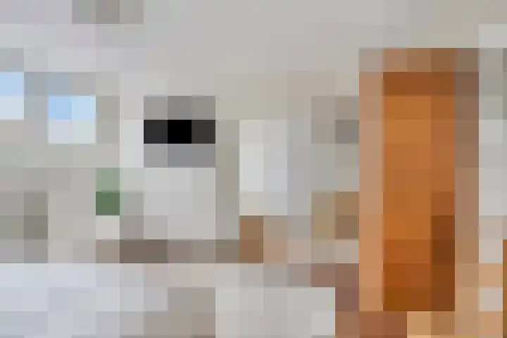 Nonnenmate 13 Doetinchem thumbnail 23
