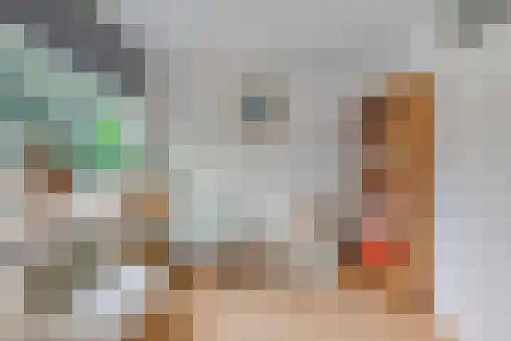 Nonnenmate 13 Doetinchem thumbnail 26