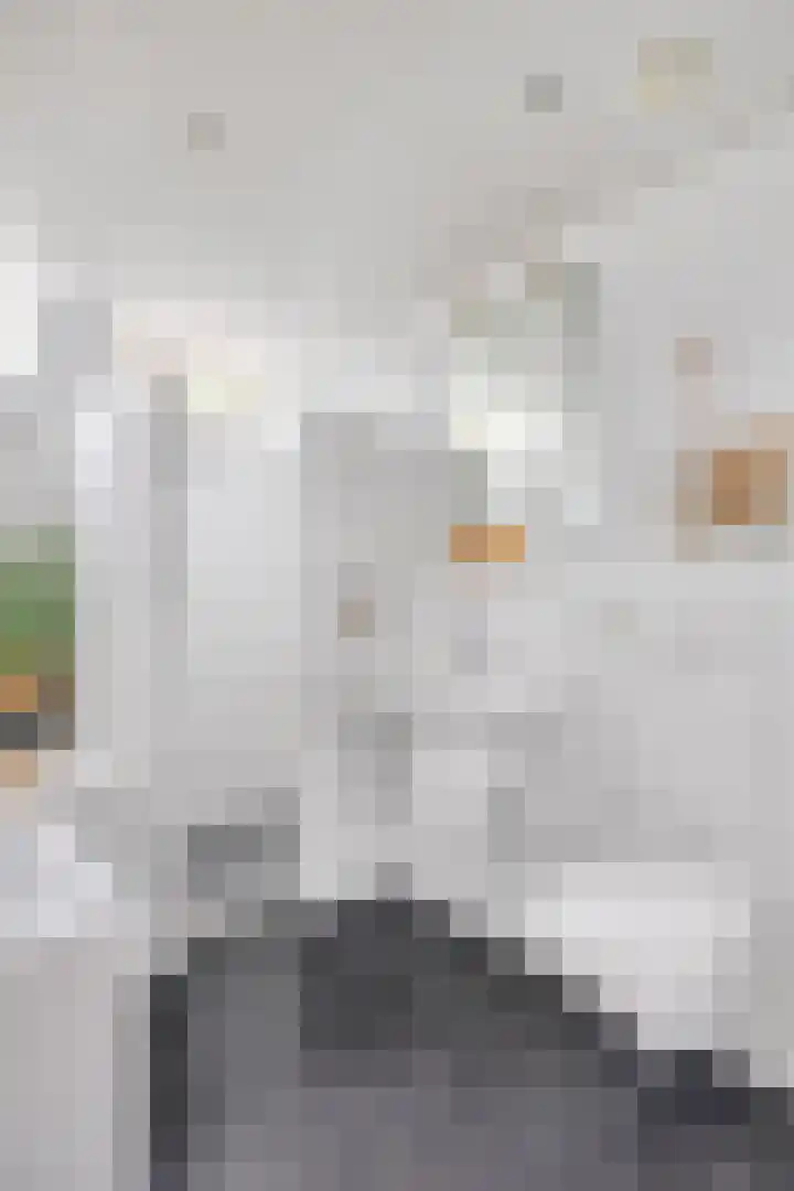 Nonnenmate 13 Doetinchem thumbnail 29