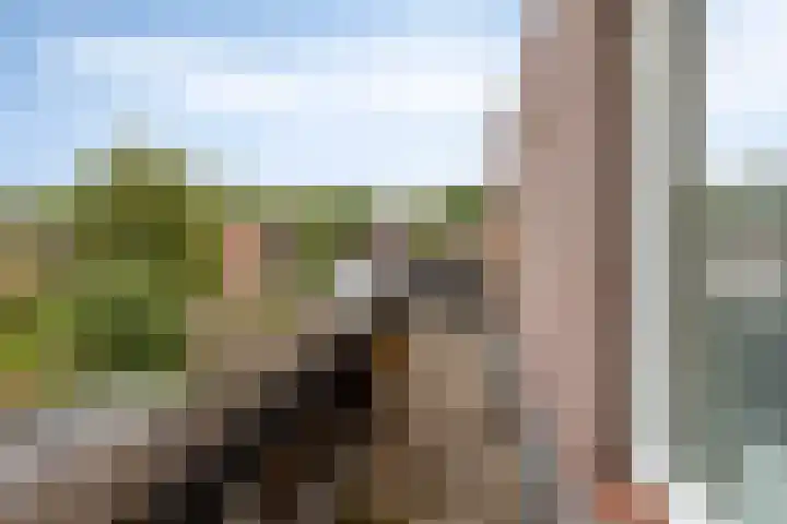 Nonnenmate 13 Doetinchem thumbnail 33