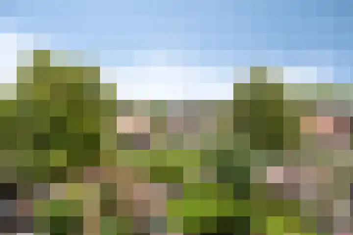 Nonnenmate 13 Doetinchem thumbnail 34