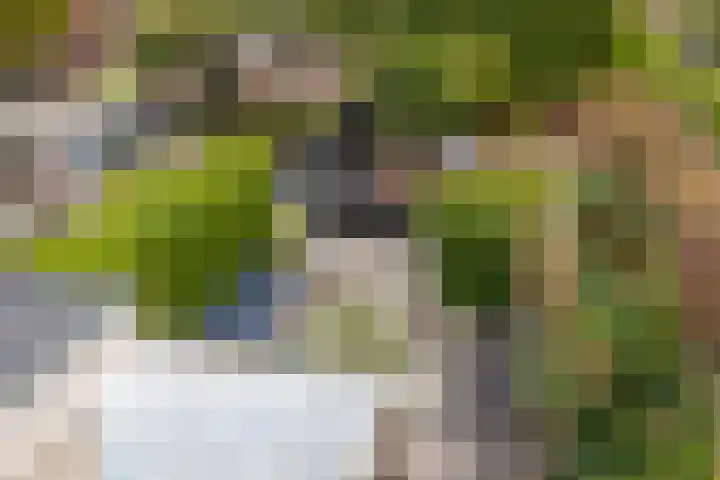 Nonnenmate 13 Doetinchem thumbnail 35