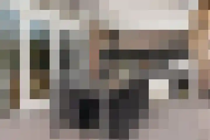 Nonnenmate 13 Doetinchem thumbnail 37