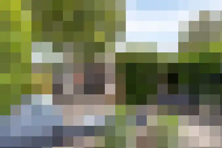 Nonnenmate 13 Doetinchem thumbnail 38