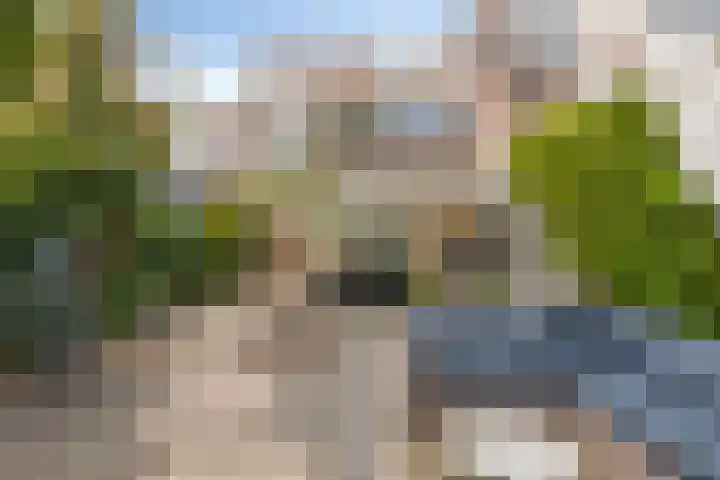 Nonnenmate 13 Doetinchem thumbnail 39