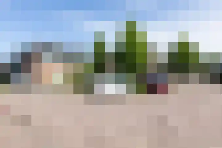 Nonnenmate 32 Doetinchem thumbnail 11