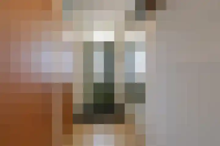 Nonnenmate 32 Doetinchem thumbnail 14