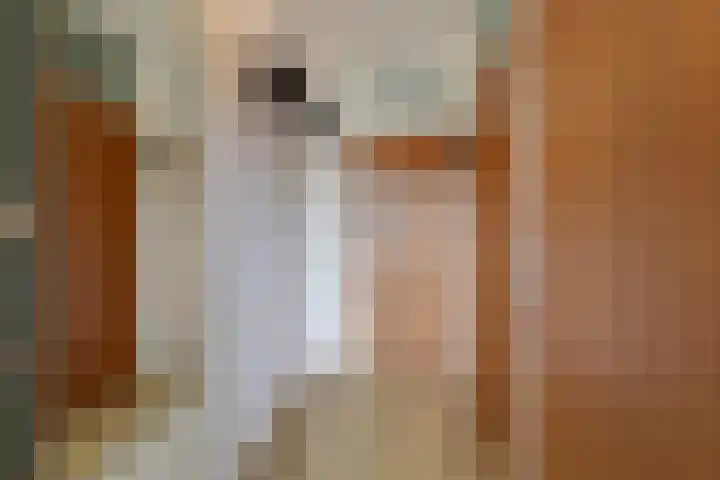 Nonnenmate 32 Doetinchem thumbnail 15
