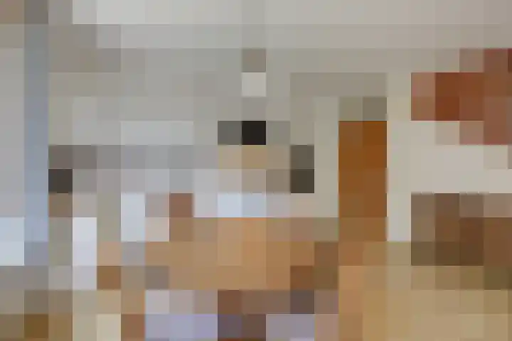 Nonnenmate 32 Doetinchem thumbnail 21