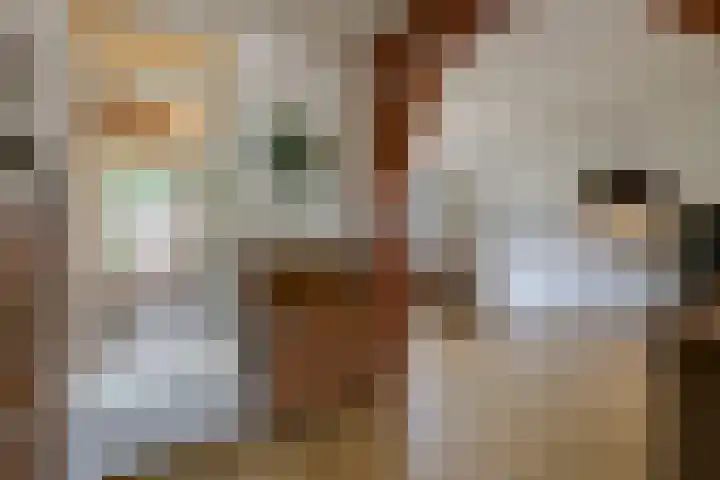 Nonnenmate 32 Doetinchem thumbnail 22