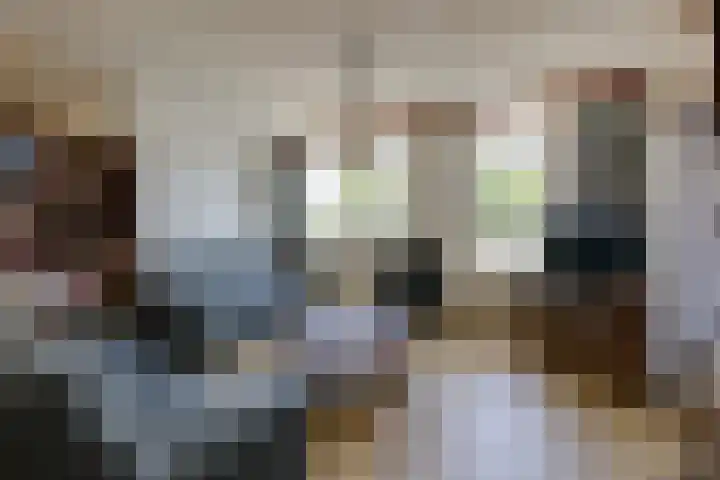 Nonnenmate 32 Doetinchem thumbnail 24