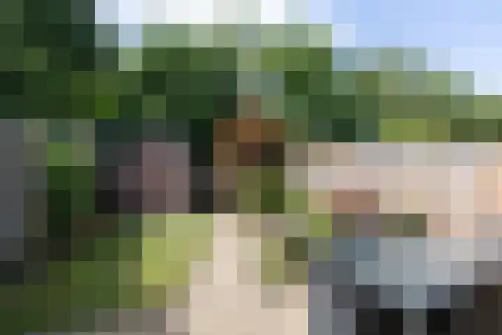 Nonnenmate 32 Doetinchem thumbnail 30