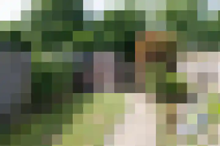 Nonnenmate 32 Doetinchem thumbnail 32