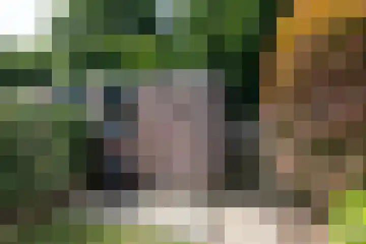 Nonnenmate 32 Doetinchem thumbnail 33