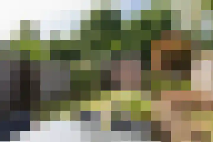 Nonnenmate 32 Doetinchem thumbnail 4