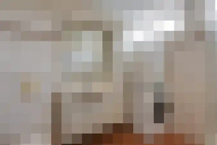 Nonnenmate 32 Doetinchem thumbnail 42