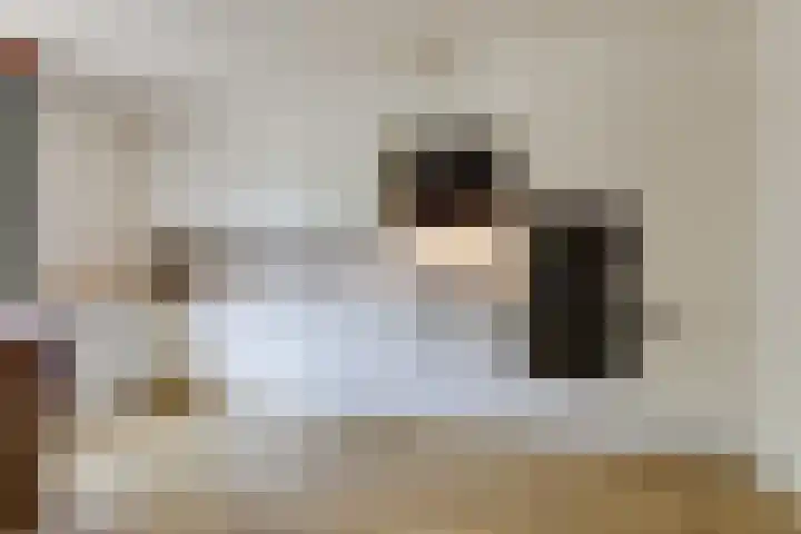 Nonnenmate 32 Doetinchem thumbnail 5
