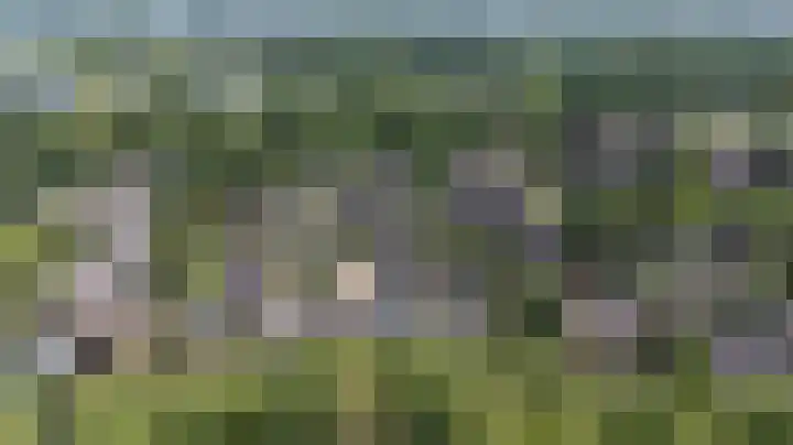Nonnenmate 32 Doetinchem thumbnail 9