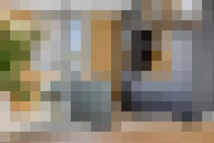 Nonnenpad 19 Veldhoven thumbnail 11