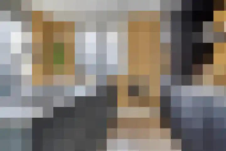 Nonnenpad 19 Veldhoven thumbnail 12