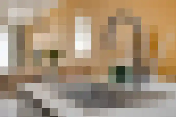Nonnenpad 19 Veldhoven thumbnail 13