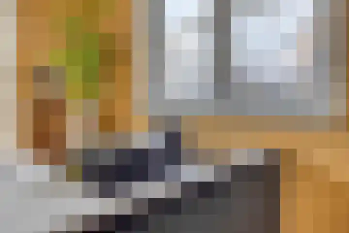 Nonnenpad 19 Veldhoven thumbnail 15