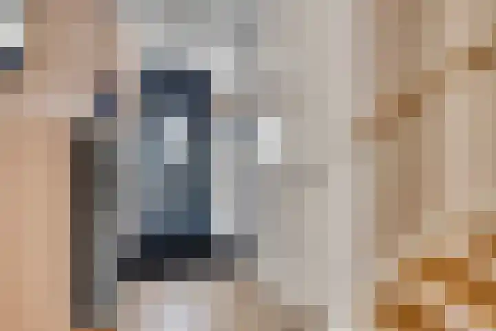 Nonnenpad 19 Veldhoven thumbnail 17