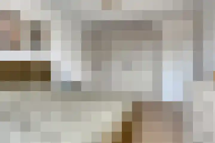 Nonnenpad 19 Veldhoven thumbnail 19