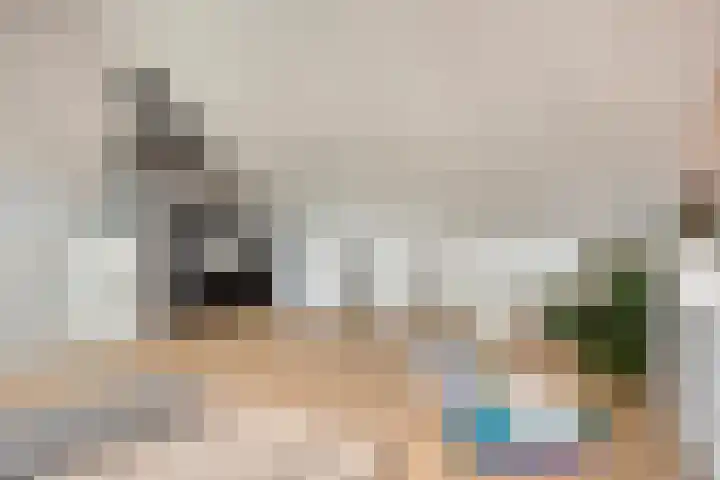 Nonnenpad 19 Veldhoven thumbnail 30