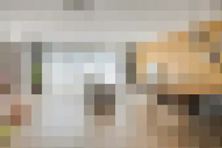 Nonnenpad 19 Veldhoven thumbnail 4