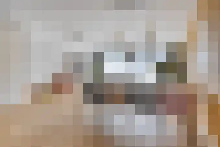 Nonnenpad 19 Veldhoven thumbnail 9