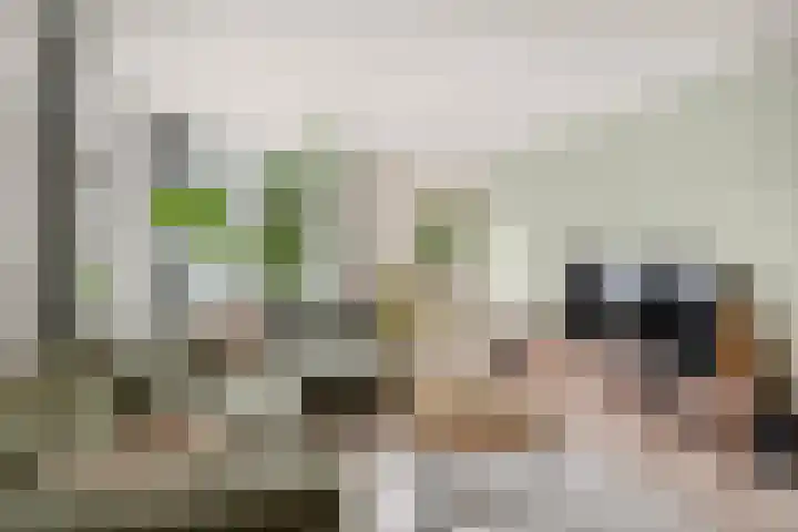 Nonnenplaats 6 Nijmegen thumbnail 10