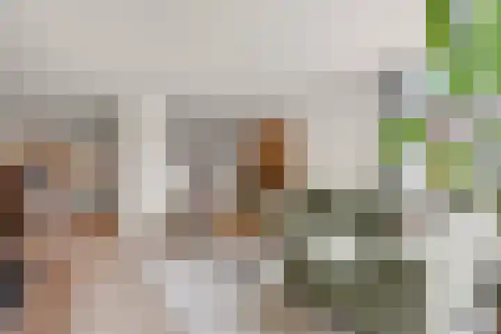 Nonnenplaats 6 Nijmegen thumbnail 11