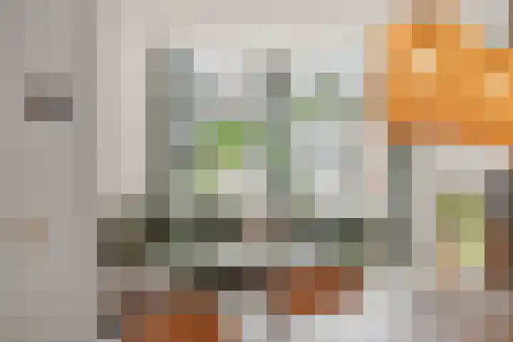 Nonnenplaats 6 Nijmegen thumbnail 14