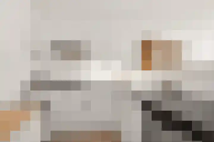 Nonnenplaats 6 Nijmegen thumbnail 15