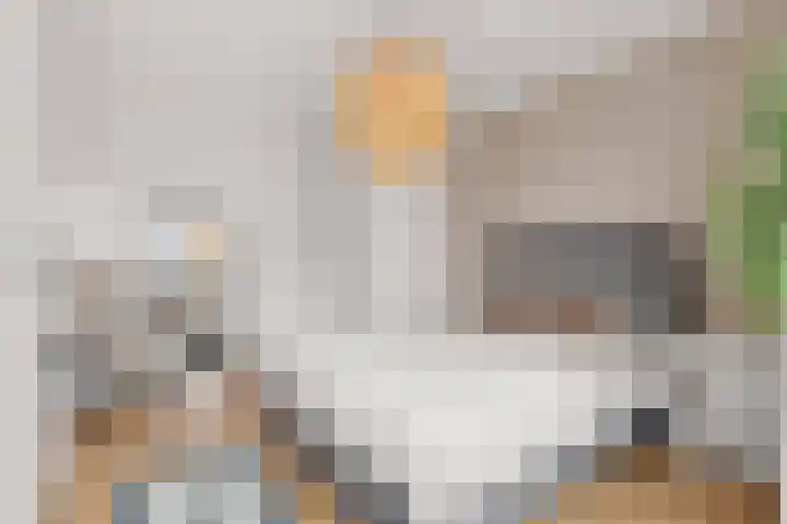 Nonnenplaats 6 Nijmegen thumbnail 19