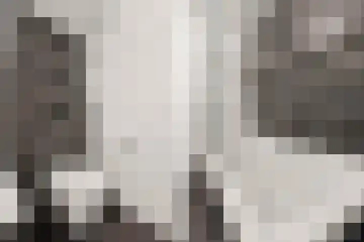 Nonnenplaats 6 Nijmegen thumbnail 21