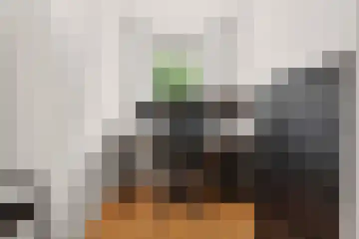 Nonnenplaats 6 Nijmegen thumbnail 23