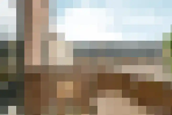 Nonnenplaats 6 Nijmegen thumbnail 25