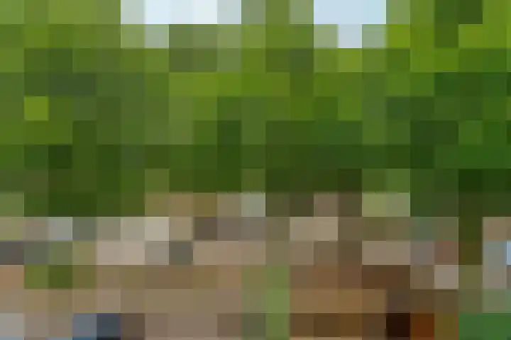 Nonnenplaats 6 Nijmegen thumbnail 26