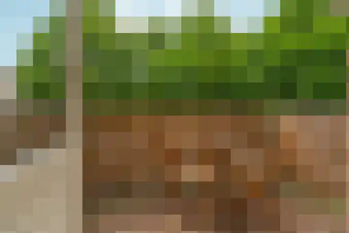 Nonnenplaats 6 Nijmegen thumbnail 5